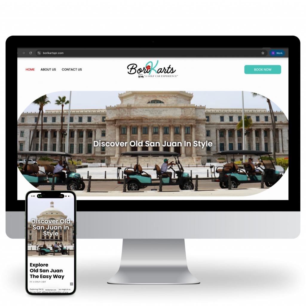 Borikarts-PR-Web-Design-Puerto-Rico